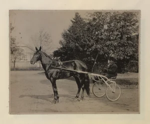 Dan Patch attaccato al sulky in una fotografia del 1905.