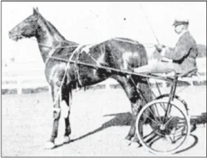 Dan Patch nel 1901 con il guidatore Myron McHenry, da una pubblicazione del New York Daily Tribune del 16 ottobre 1901.
